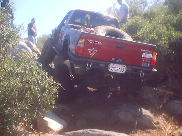 Dan in the Bling Taco